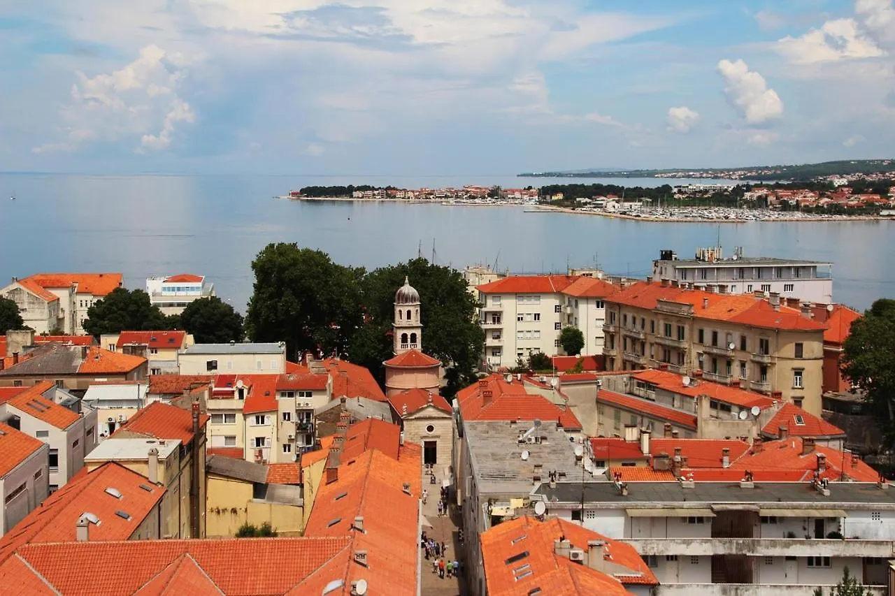 Apartment Pane Zadar 0*,